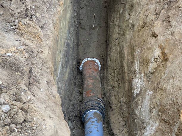 Best Flood restoration services  in Huntington, VA