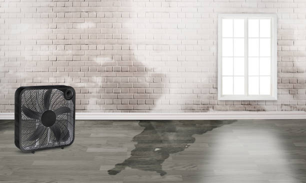 Best Fire Damage Restoration  in Huntington, VA