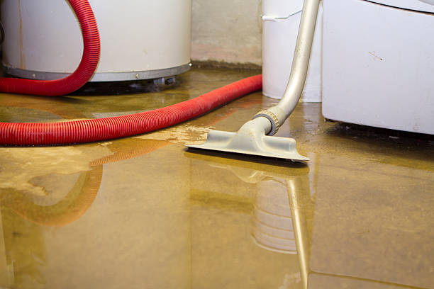 Best 24/7 water damage repair  in Huntington, VA