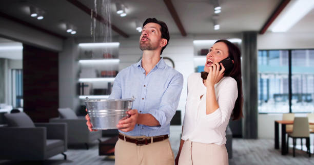 Best Water damage cleanup near me  in Huntington, VA