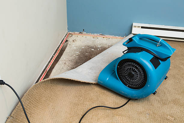 Best Local water damage restoration  in Huntington, VA